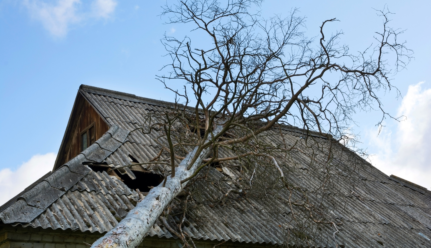 Strom Damage